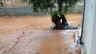 Gaziantep'in İslahiye İlçesinde Sağanak Nedeniyle Taşan Derelerde Çalışma Başlatıldı