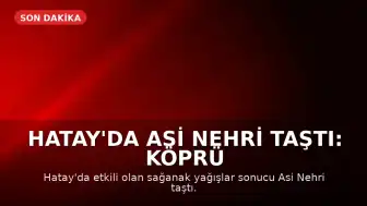 Hatay'da Asi Nehri Taştı: Köprü ve Yollar Çöktü, 3 Kişi Hayatını Kaybetti