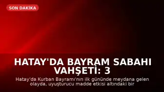 Hatay'da Bayram Sabahı Vahşeti: 3 Yaşındaki Çocuk Hayatını Kaybetti, Baba Gözaltına Alındı