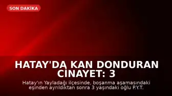 Hatay'da Kan Donduran Cinayet: 3 Yaşındaki Poyraz'ı Parçalara Ayırdığı İddia Edilen Baba Tutuklandı