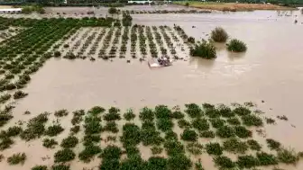 Hatay'da Sel Sonrası Tarım Arazilerindeki Hasar Ortaya Çıktı
