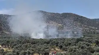 İzmir'in Bayındır İlçesinde Zeytinlik Alanda Yangın Çıktı