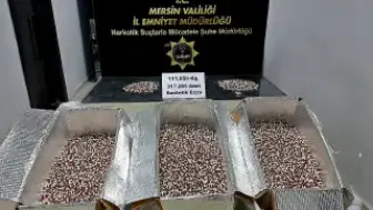 Mersin'de 317 Bin 285 Sentetik Ecza Ele Geçirildi, Bir Kişi Tutuklandı