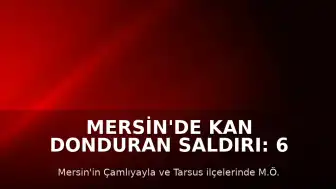 Mersin'de Kan Donduran Saldırı: 6 Kişi Hayatını Kaybetti, 8 Yaralı