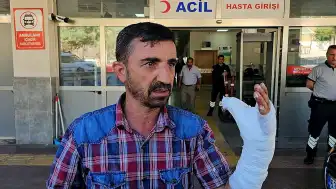 Şanlıurfa'da Kurban Kesimi Sırasında 232 Kişi Yaralandı
