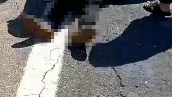 Şanlıurfa'da Kurbanlık Yüklü Kamyonet Devrildi: 1 Kişi Hayatını Kaybetti, 1 Yaralı