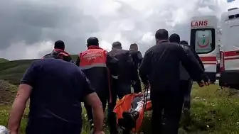 Sivas'ta Mantar Toplarken Ayı Saldırısı: Bir Vatandaşın Parmağı Koptu
