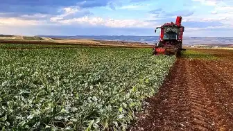 Tokat'ta Sel ve Dolu Afeti Çiftçiyi Vurdu: "Tüm Olanaklarımızla Yanındayız"