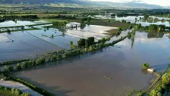 Tokat'ta Yeşilırmak Taştı: Binlerce Dönüm Tarım Arazisi Sular Altında Kaldı