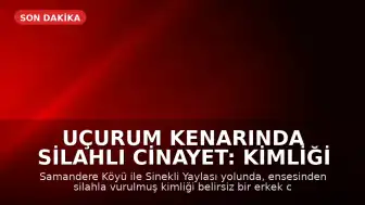 Uçurum Kenarında Silahlı Cinayet: Kimliği Belirlenemeyen Erkek Cesedi Bulundu