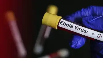 Uganda, Ebola Salgını Nedeniyle Kongo Demokratik Cumhuriyeti Sınırını Kapattı