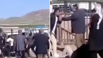 Van Hayvan Pazarında Kanlı Kavga: 1 Ölü, 13 Yaralı