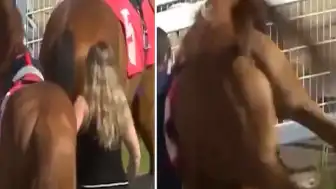 Yarış Atı Tekmesiyle Yere Savrulan Ahır Çalışanı Hafif Yaralandı