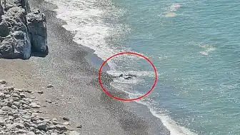 Zonguldak'ta Ceset İhbarı Asılsız Çıktı: Dalgaların Arasındaki Kaya Parçası Ekipleri Harekete Geçirdi