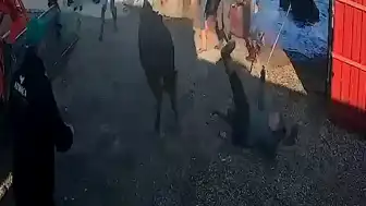 Afyonkarahisar'da Kurbanlık Boğa Saldırdı: 5 Yaralı