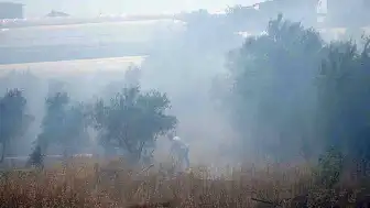 Antalya'da Çalılık Alanda Çıkan Yangın Seralara Sıçramadan Söndürüldü