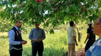 Bilecik'te Dolu Yağışı Sonrası Tarım Arazilerinde Zarar Tespiti Yapıldı