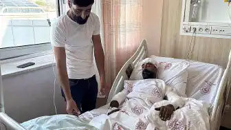 Bingöl'de Mantar Toplarken Ayı Saldırısına Uğrayan Kişi Hastanede Tedavi Altında