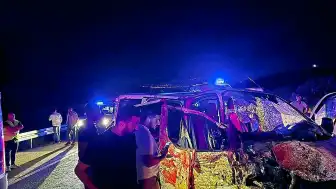 Bingöl'de Trafik Kazası: Ata Çarpan Panelvanın Sürücüsü Hayatını Kaybetti, 2 Yaralı