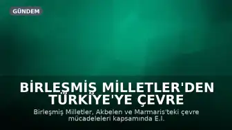 Birleşmiş Milletler'den Türkiye'ye Çevre Savunucuları Hakkında Uyarı: Akbelen ve Kızılbük Dosyası Gündemde