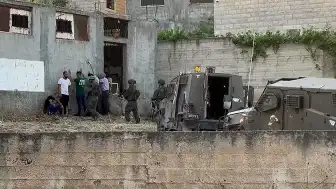 Filistin'de Yerleşimci Şiddeti ve Asker Müdahalesi: Ekinler Yakıldı, Koyunlar Çalındı