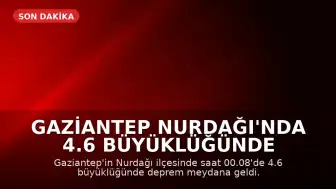 Gaziantep Nurdağı'nda 4.6 Büyüklüğünde Deprem Meydana Geldi