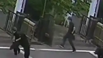Japonya'da Ayı Saldırıları Nedeniyle Eğitime Ara Verildi