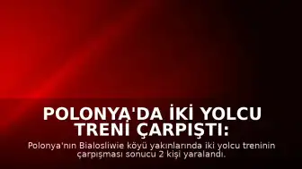 Polonya'da İki Yolcu Treni Çarpıştı: 2 Yaralı