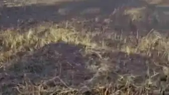 Şanlıurfa Siverek'te Arazi Yangını: 3 Yaralı ve Büyük Maddi Hasar
