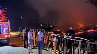 Sinop'ta Orman Ürünleri Fabrikasında Yangın: Depo Bölümü Hasar Gördü