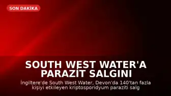 South West Water'a Parazit Salgını Nedeniyle 1.8 Milyon Sterlin Ceza
