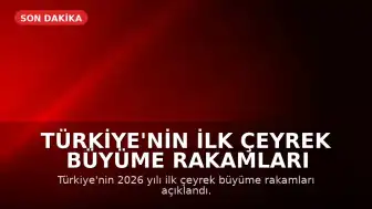 Türkiye'nin İlk Çeyrek Büyüme Rakamları Açıklandı: Bilgi ve İletişim Sektörü Öne Çıktı