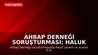Ahbap Derneği Soruşturması: Haluk Levent ve 13 Kişi Tutuklandı