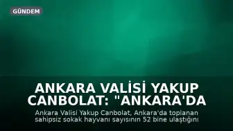 Ankara Valisi Yakup Canbolat: "Ankara'da toplanan sahipsiz sokak hayvanı sayısı 52 bine ulaştı"