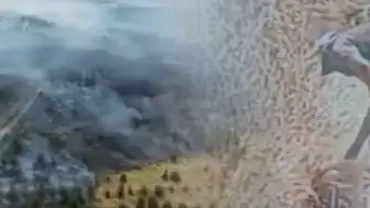 Ankara'da Otluk Alanda Çıkan Yangının Kundaklama Olduğu Belirlendi