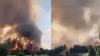 Ankara'da Otluk Alanda Yangın Söndürüldü