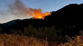 Antalya'nın Akseki İlçesinde Ormanlık Alanda Yangın Çıktı
