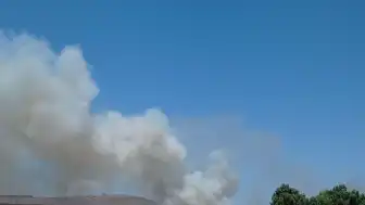 Ayvalık'ta Çöplük Alanında Yangın Çıktı