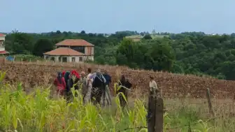 Bafra'da 92 Yaşındaki Kadının Tarlasında Yanmış Cesedi Bulundu