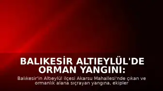Balıkesir Altıeylül'de Orman Yangını: Müdahale Devam Ediyor
