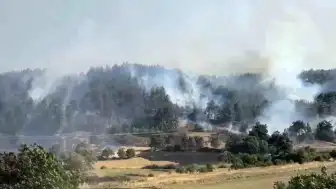 Balıkesir Altıeylül'de Orman Yangını: Müdahale Devam Ediyor