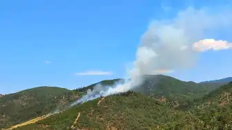 Balıkesir Burhaniye'de Orman Yangını Kontrol Altına Alındı
