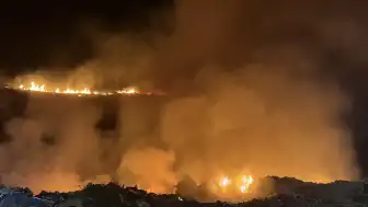 Bodrum Ortakent'te Ormanlık Alanda Yangın: Müdahale Devam Ediyor