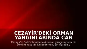 Cezayir'deki Orman Yangınlarında Can Kaybı ve Yaralanma Bildirildi