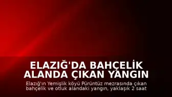 Elazığ'da Bahçelik Alanda Çıkan Yangın Kontrol Altına Alındı