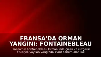 Fransa'da Orman Yangını: Fontainebleau Ormanı'nda Bin 980 Dönüm Alan Kül Oldu