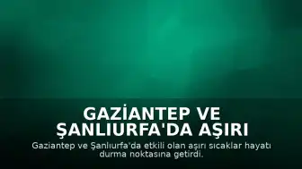Gaziantep ve Şanlıurfa'da Aşırı Sıcaklar: Termometreler 49 Dereceyi Gösterdi