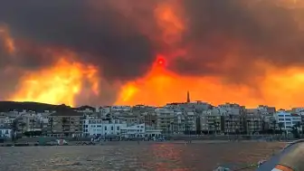 İspanya Almeria'daki Orman Yangınında Can Kaybı Artıyor: En Az 11 Ölü