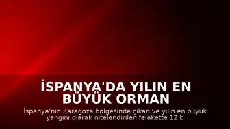 İspanya'da Yılın En Büyük Orman Yangını: 12 Bin Hektarlık Alan Tahrip Oldu