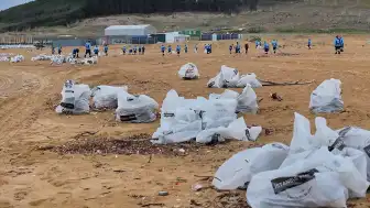 İstanbul Büyükşehir Belediyesi: 2026'nın ilk 6 ayında kıyı ve plajlardan 5 bin 291 ton atık temizlendi
